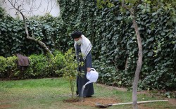 الإمام الخامنئي يغرس شتلتين لأشجار مثمرة في يوم الشّجرة